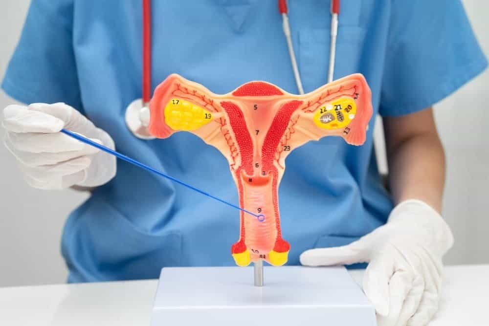 هل يضيق المهبل بعد استئصال الرحم