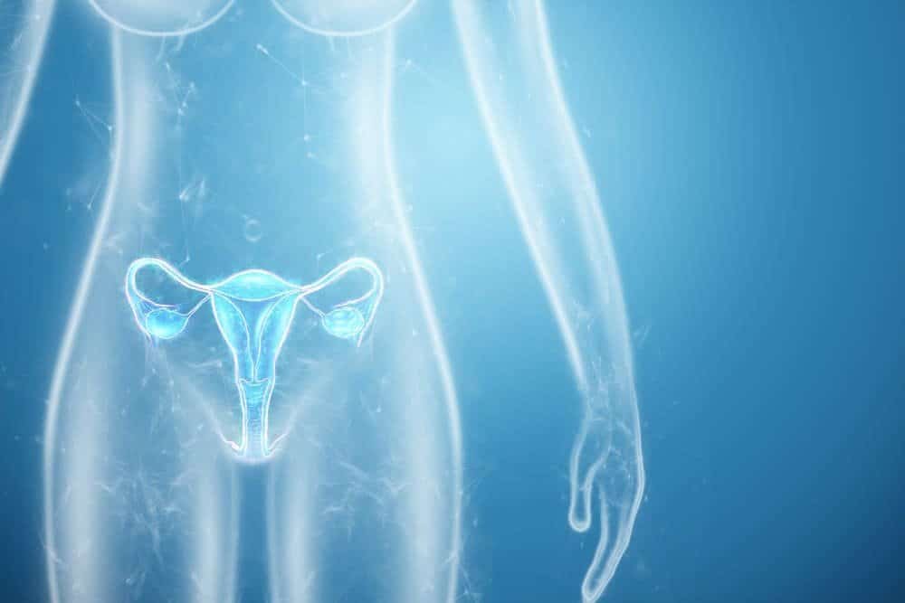 Uterine Fibroid Embolization Success Rate