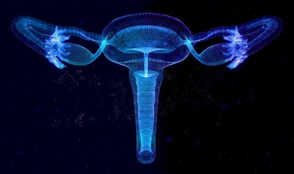 uterine fibroid embolization