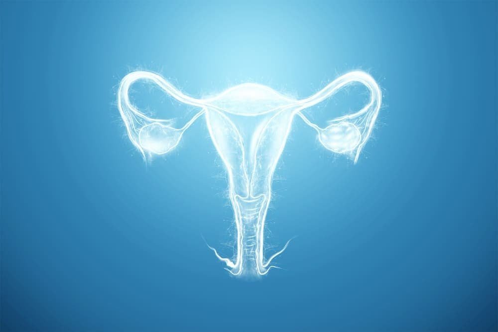 uterine fibroid embolization
