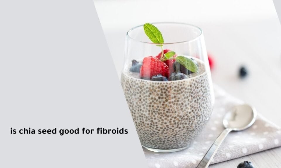 Is Chia Seed Good For Fibroids